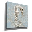 Coral Seahorse I  by Cindy Jacobs, Canvas Wall Art Online Hot Sale