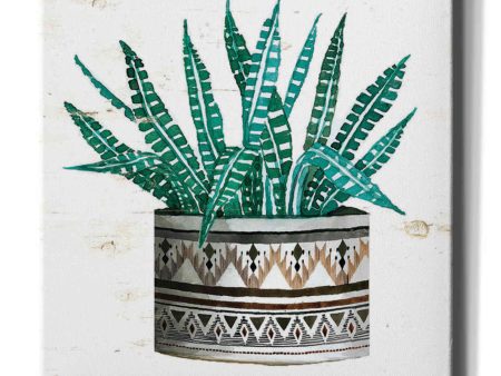 Mud Cloth Succulent II  by Cindy Jacobs, Canvas Wall Art Fashion