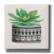 Cactus Mud Cloth Vase IV  by Cindy Jacobs, Canvas Wall Art Discount