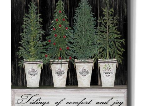 Tidings of Comfort & Joy  by Cindy Jacobs, Canvas Wall Art Sale