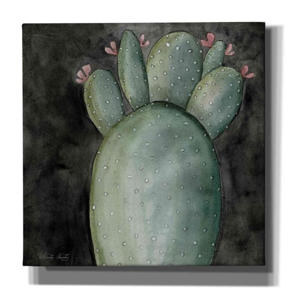 Big Blooming Cactus I  by Cindy Jacobs, Canvas Wall Art For Discount