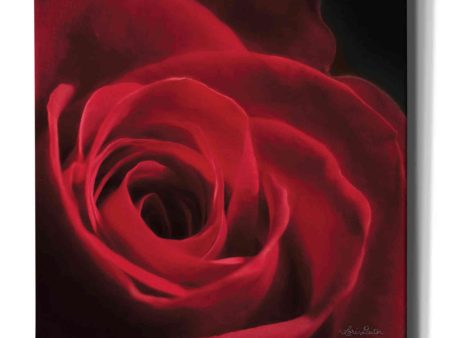 The Red Rose I  by Lori Deiter, Canvas Wall Art Online Sale