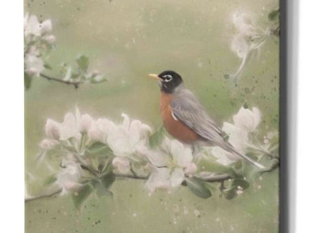 Springtime Robin  by Lori Deiter, Canvas Wall Art Online Sale