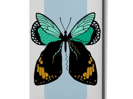 Butterfly  by Ayse, Canvas Wall Art Online