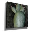 Big Blooming Cactus II  by Cindy Jacobs, Canvas Wall Art For Sale