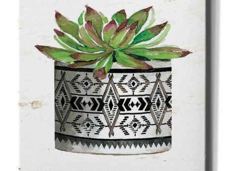 Mud Cloth Succulent III  by Cindy Jacobs, Canvas Wall Art Online now