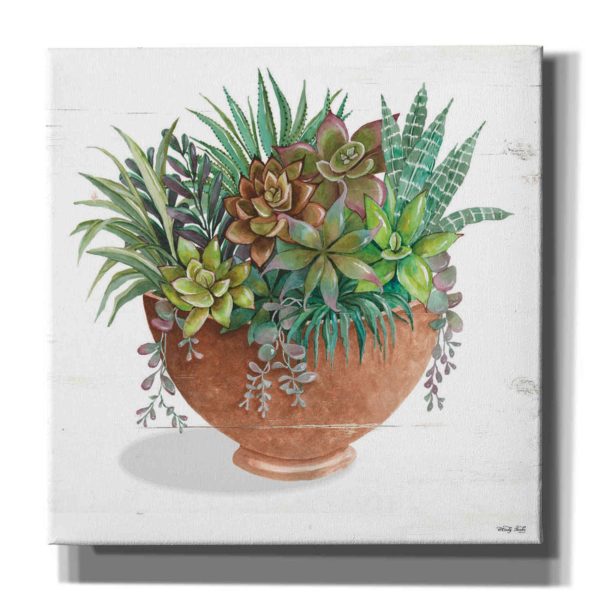 Terracotta Succulents II  by Cindy Jacobs, Canvas Wall Art Online now