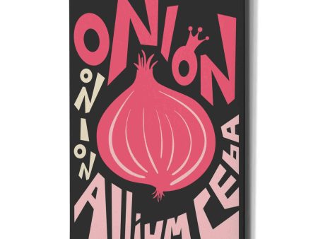 Kitchen Onion  by Ayse, Canvas Wall Art Online now