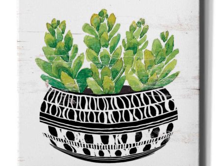 Mud Cloth Succulent IV  by Cindy Jacobs, Canvas Wall Art Fashion