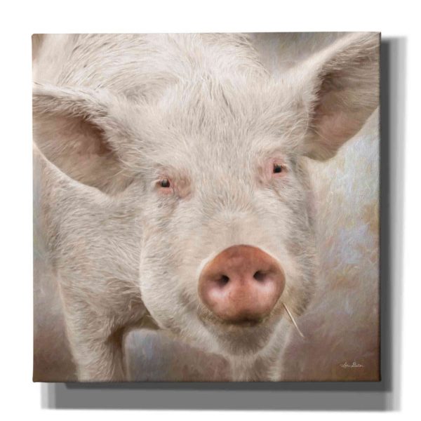 Pig Face  by Lori Deiter, Canvas Wall Art Cheap