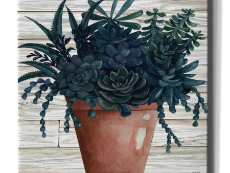 Remarkable Succulents III  by Cindy Jacobs, Canvas Wall Art Online Sale