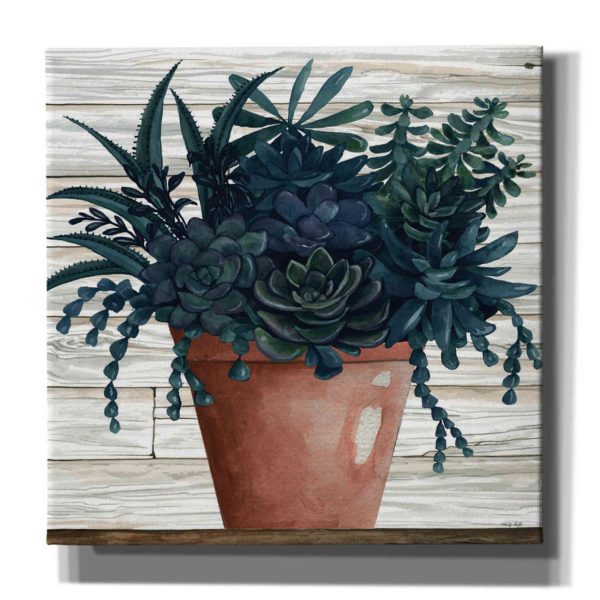 Remarkable Succulents III  by Cindy Jacobs, Canvas Wall Art Online Sale