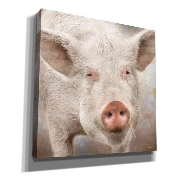 Pig Face  by Lori Deiter, Canvas Wall Art Cheap