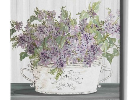 Lilac Galvanized Pot  by Cindy Jacobs, Canvas Wall Art Online