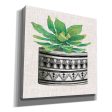 Cactus Mud Cloth Vase IV  by Cindy Jacobs, Canvas Wall Art Discount