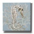 Coral Seahorse I  by Cindy Jacobs, Canvas Wall Art Online Hot Sale