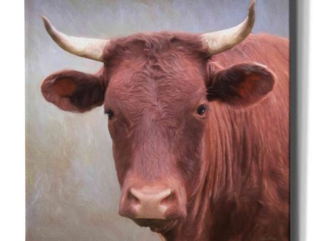 Bull Face  by Lori Deiter, Canvas Wall Art Online Sale