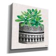 Cactus Mud Cloth Vase II  by Cindy Jacobs, Canvas Wall Art Supply