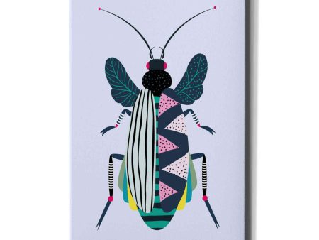 Beetle  by Ayse, Canvas Wall Art Online