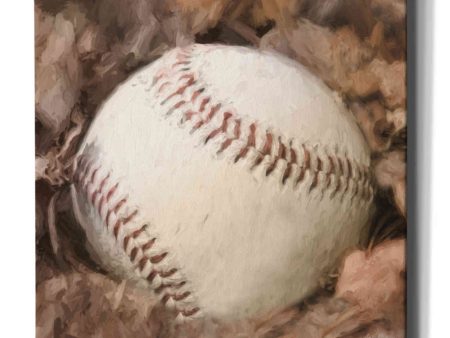 Baseball Season  by Lori Deiter, Canvas Wall Art on Sale