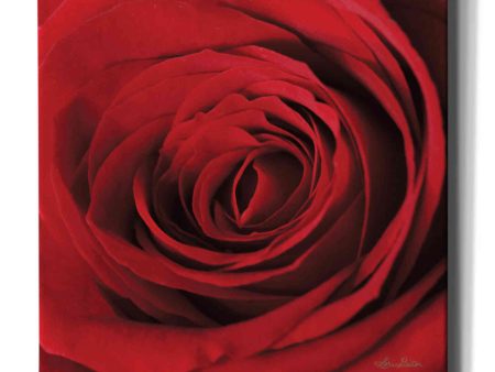 The Red Rose II  by Lori Deiter, Canvas Wall Art Cheap