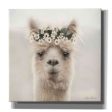 Alpaca with Flowers  by Lori Deiter, Canvas Wall Art on Sale