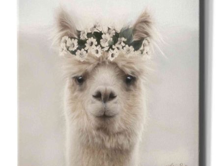 Alpaca with Flowers  by Lori Deiter, Canvas Wall Art on Sale