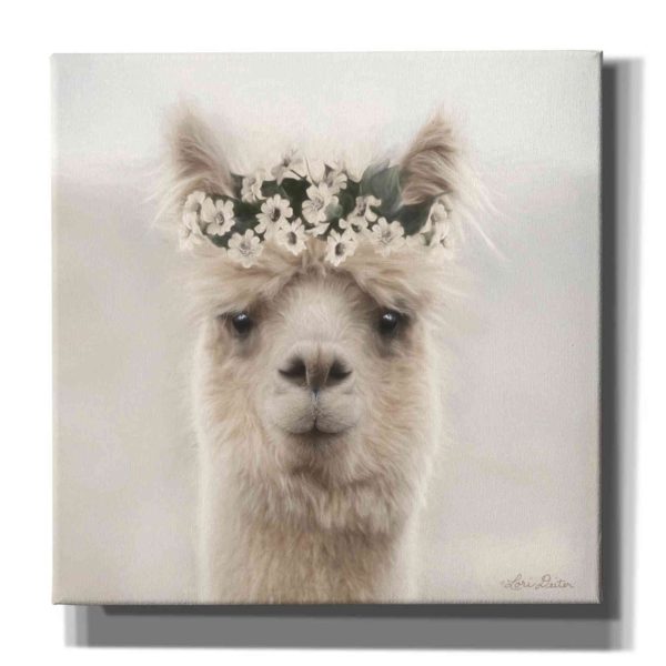 Alpaca with Flowers  by Lori Deiter, Canvas Wall Art on Sale