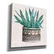 Cactus Mud Cloth Vase III  by Cindy Jacobs, Canvas Wall Art For Sale