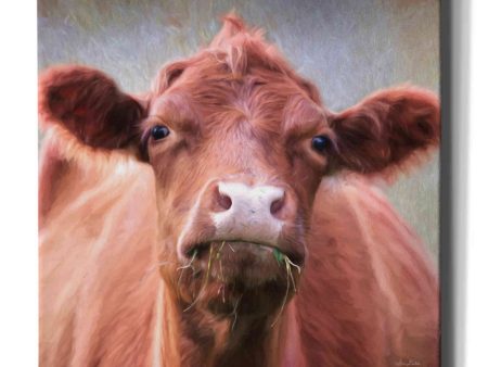 The Brown Cow  by Lori Deiter, Canvas Wall Art Fashion