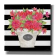 Fuchsia Flores Stripes  by Cindy Jacobs, Canvas Wall Art For Cheap