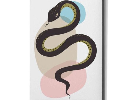 Snake  by Ayse, Canvas Wall Art Online now