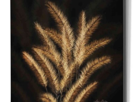 Golden Grass II  by Lori Deiter, Canvas Wall Art Fashion