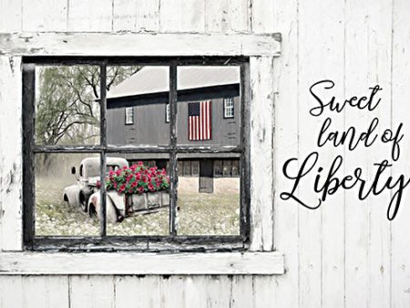 LD3125 - Sweet Land of Liberty - 18x12 Online