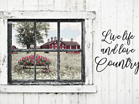 LD3122 - Live Life and Love Country - 18x12 Fashion