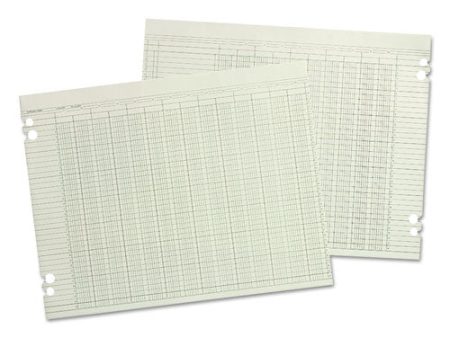 Accounting Sheets, 10 Columns, 9.25 X 11.88, Green, Loose Sheet, 100 pack Fashion