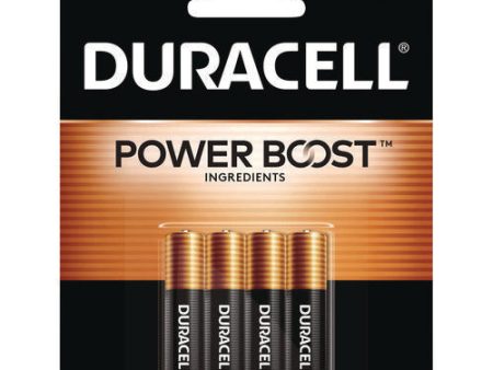 Power Boost Coppertop Alkaline Aaa Batteries, 4 pack Sale