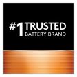 Power Boost Coppertop Alkaline Aaa Batteries, 8 pack Online