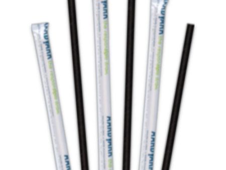 Aardvark Paper Straws, 5.75 , Black, 3,200 carton Supply