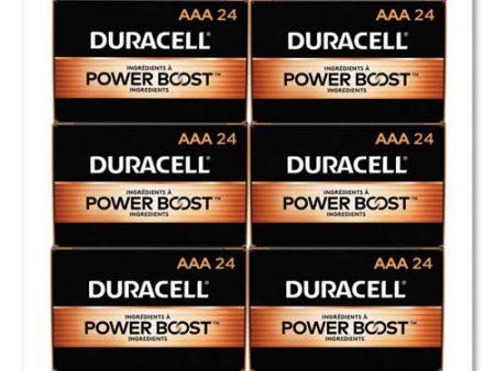 Power Boost Coppertop Alkaline Aaa Batteries, 144 carton Online now