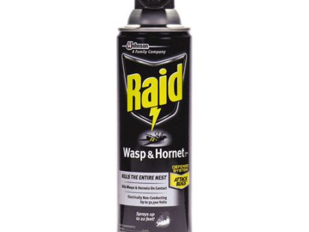 Wasp And Hornet Killer, 14 Oz Aerosol Spray, 12 carton Online