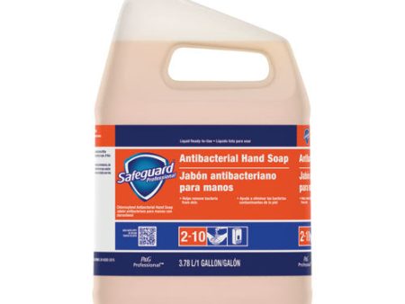 Antibacterial Liquid Hand Soap, Light Scent, 1 Gal, 2 carton Online now