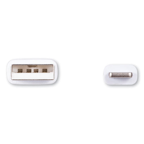 Usb Apple Lightning Cable, 10 Ft, White Online Sale