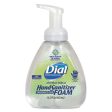 Antibacterial Foam Hand Sanitizer, 15.2 Oz Pump Bottle, Fragrance-free on Sale